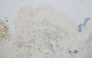 what causes paint to blister