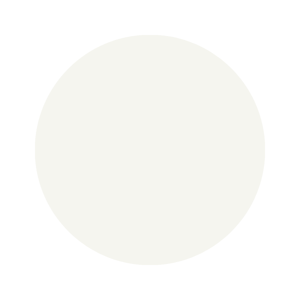 White Snow White Snow paint colour swatch