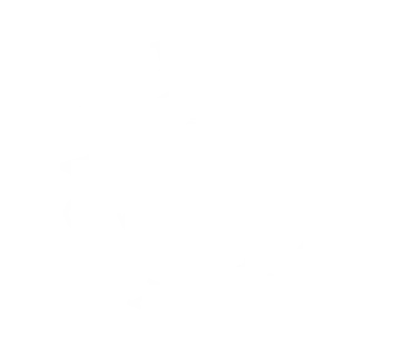 Appaloosa Painting Co. logo (white)